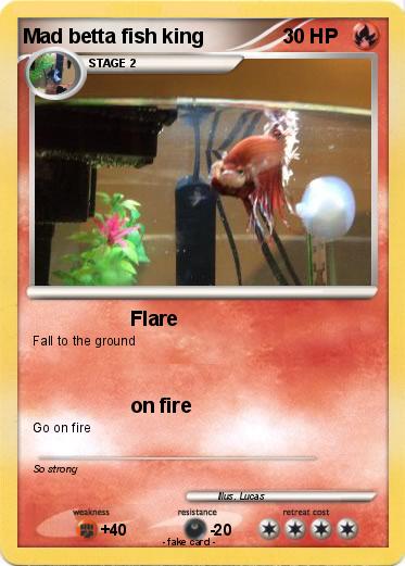 Pokemon Mad betta fish king