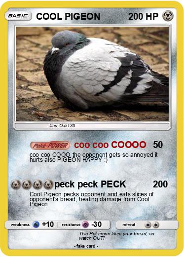 Pokemon COOL PIGEON