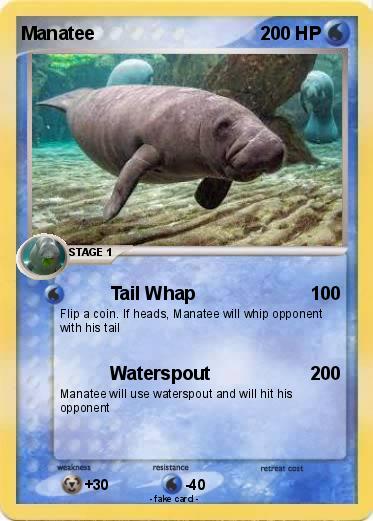 Pokemon Manatee