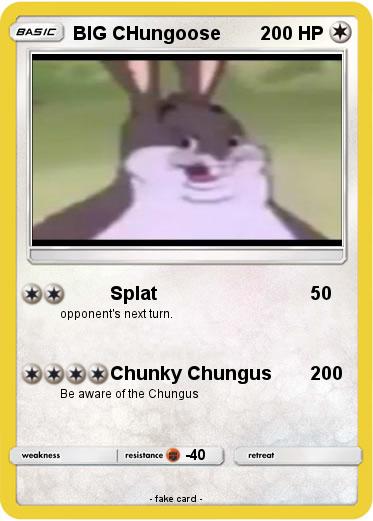 Pokemon BIG CHungoose