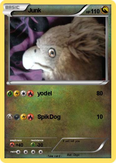 Pokemon Junk