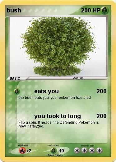 Pokemon bush