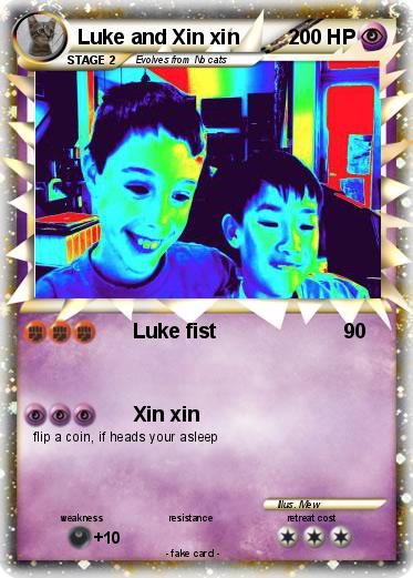 Pokemon Luke and Xin xin