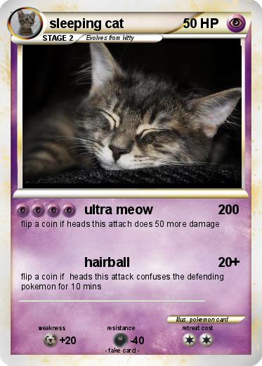 Pokemon sleeping cat