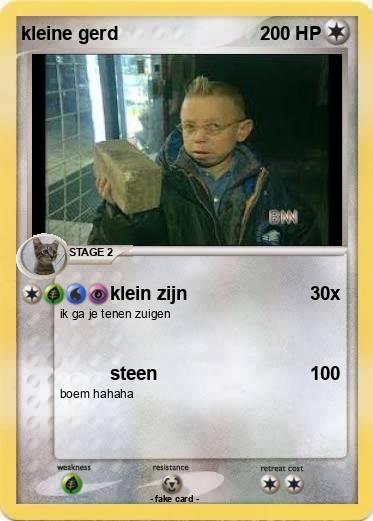 Pokemon kleine gerd