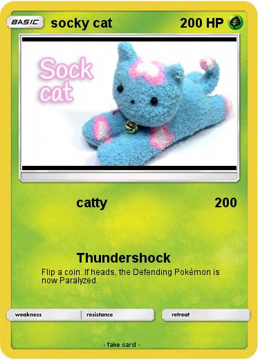Pokemon socky cat