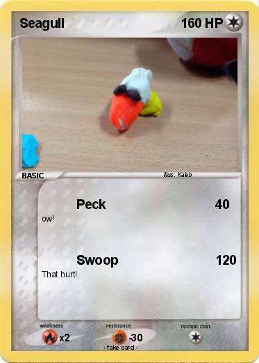 Pokemon Seagull