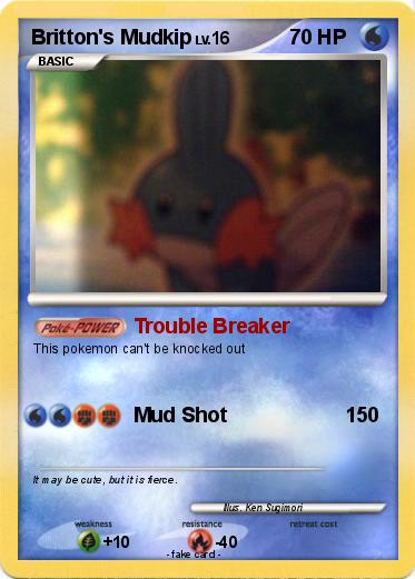 Pokemon Britton's Mudkip