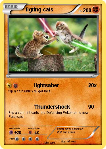 Pokemon figting cats