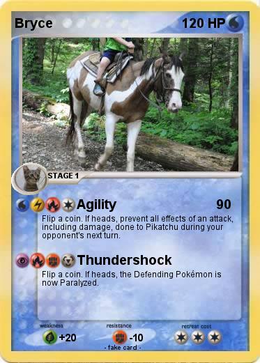 Pokemon Bryce