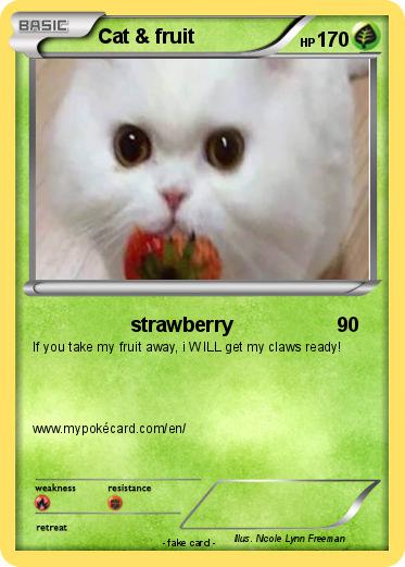 Pokemon Cat & fruit