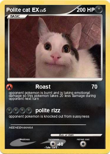 Pokemon Ollie the polite cat