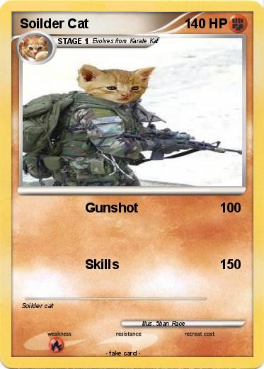 Pokemon Soilder Cat