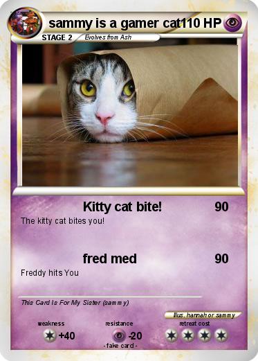 Pokemon sammy is a gamer cat