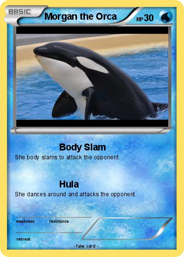 Pokemon Morgan the Orca