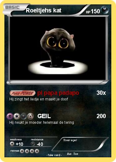 Pokemon Roeltjehs kat