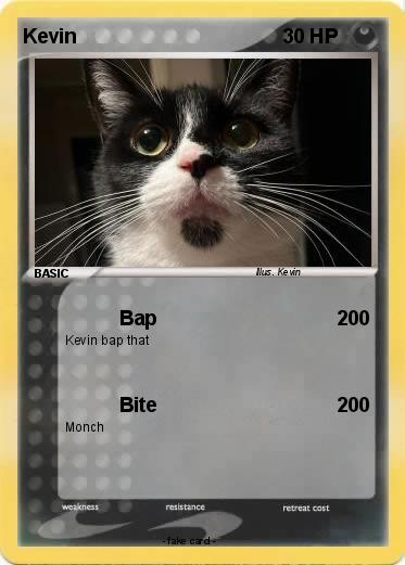 Pokemon Kevin