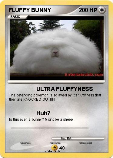 Pokemon FLUFFY BUNNY