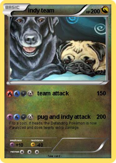 Pokemon indy team