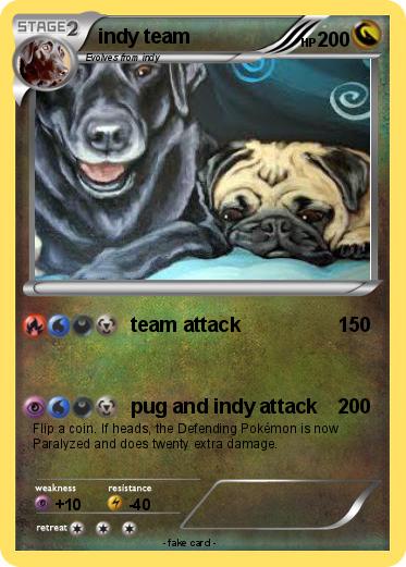Pokemon indy team