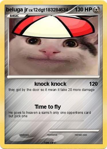 Pokemon beluga jr
