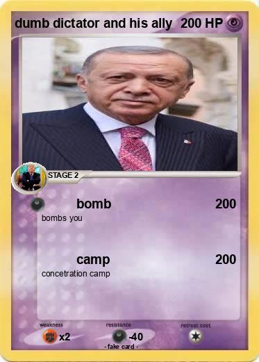 Pokemon dumb dictator and his ally