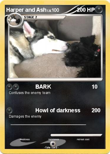 Pokemon Harper and Ash