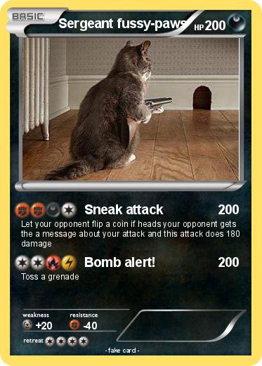 Pokemon Sergeant fussy-paws