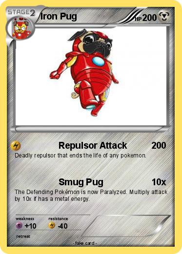 Pokemon Iron Pug