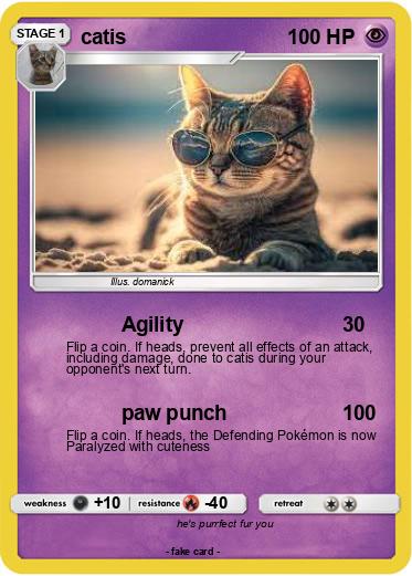 Pokemon catis