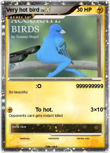 Pokemon Very hot bird