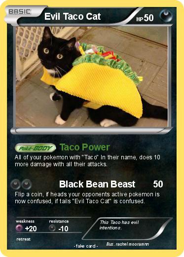 Pokemon Evil Taco Cat