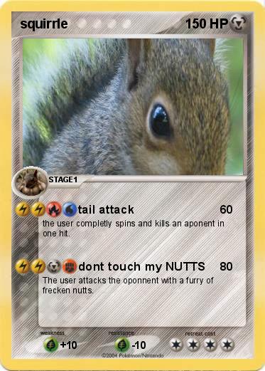 Pokemon squirrle