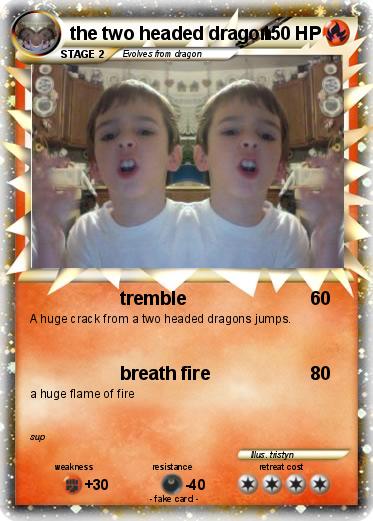Pokemon the two headed dragon