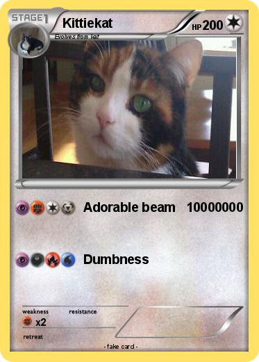 Pokemon Kittiekat