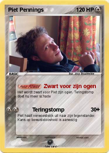 Pokemon Piet Pennings