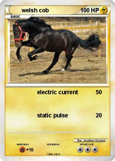 Pokemon welsh cob