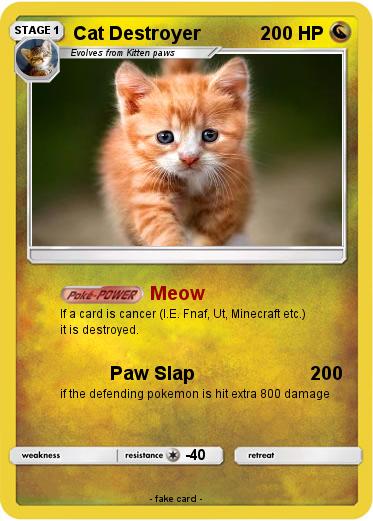 Pokemon Cat Destroyer