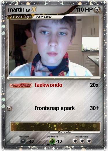 Pokemon martin