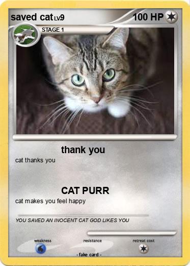 Pokemon saved cat