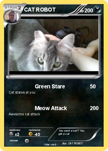 Pokemon CAT ROBOT