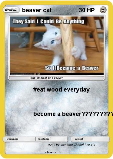 Pokemon beaver cat