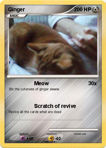 Pokemon Ginger