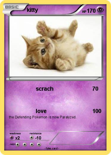 Pokemon kitty