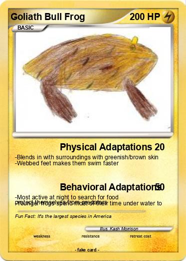 Pokemon Goliath Bull Frog