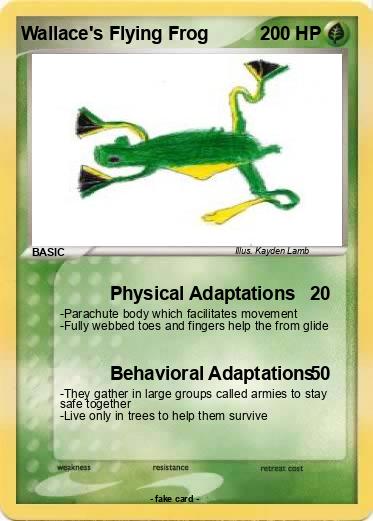 Pokemon Wallace's Flying Frog