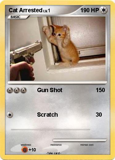 Pokemon Cat Arrested