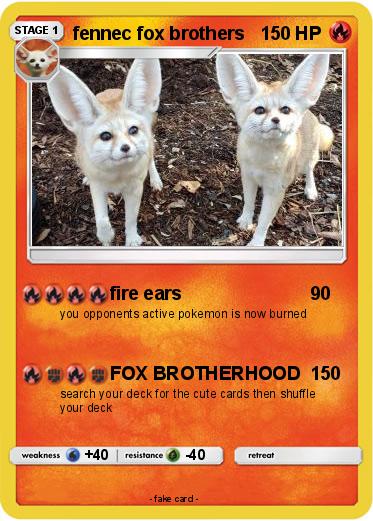 Pokemon fennec fox brothers