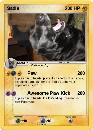 Pokemon Sadie