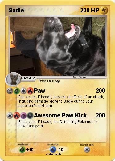 Pokemon Sadie